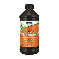 Liquid Chlorophyll (473 ml, mint)