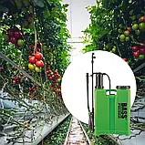 Обприскувач ручний напірний Bass Polska 8641 12 л, фото 6