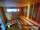 Сауна з купіллю 5,4х2,4х2,7м LUX комплектації та виконання від виробника Thermowood Production, фото 7