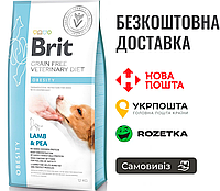 Сухой корм Brit GF VetDiet Dog Obesity для собак, коррекция веса, с ягненком, индейкой и горохом, 12 кг