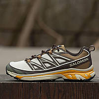 Мужские кроссовки Salomon XT-6 Expanse Brown