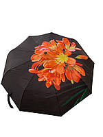 Парасолька жіноча автоматична у подарунковій упаковці з хустинкою від Rain Flower , квітковий принт