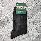 Шкарпетки чоловічі високі літо сітка р.41-45 асорти х/б ЖИТОМИР ДУКАТ 30037939, фото 3