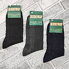 Шкарпетки чоловічі високі літо сітка р.41-45 асорти х/б ЖИТОМИР ДУКАТ 30037939, фото 2