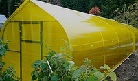 Плівка теплічна 170 мкм 6*50 м Плівка поліетиленова для теплиць і парників УФ стабілізована жовта, фото 2