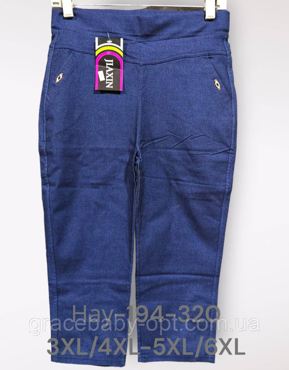 Бриджі жіночі оптом, 3XL/4XL-5XL/6XL рр., № Hay-194-320