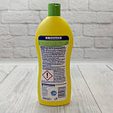 Засіб для видалення накипу Denk Mit Entkalker Nature з лимоном, 250 мл Німеччина, фото 2