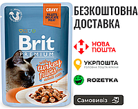 Влажный корм Brit Premium Cat Pouch для кошек, филе индейки в соусе, 85 г