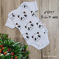 Дитяче трикотажне боді-футболка -Panda- світло-сірого кольору 3-6-9 міс