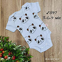 Дитяче трикотажне боді-футболка -Panda- блакитного кольору 3-6-9 міс