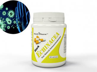 Echinacea 70 мг 100 таблеток Stark Pharm (потужний натуральний імуномодулятор)