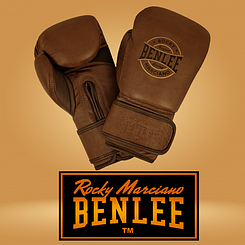 Боксерські рукавички Benlee BARBELLO 14oz, шкіра, коричневі