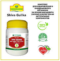 Siva Gulika Nagarjuna 50 шт Шива Гулика Нагарджуна, 2,5 грамма 1 табл. (шарик) - очищение, омоложение с мумие