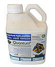 Мікродобриво Квантум ЕкстраФос-N (5л.) (НВК «Квадрат»), фото 2