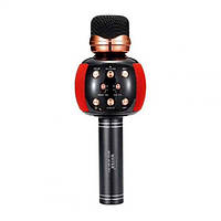 Микрофон караоке беспроводной DM Karaoke WS 2911 с колонкой/FM радио/Bluetooth Красный Techo