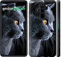 Силиконовый чехол Endorphone на Xiaomi Redmi Note 8 Pro Красивый кот (3038u-1783-26985) TV, код: 1755409