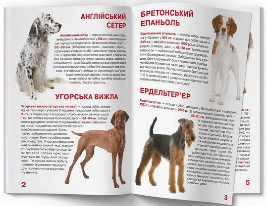 Енциклопедія для допитливих "Світ навколо нас. Велика книжка. Мисливські собаки" | Кристал Бук, фото 4