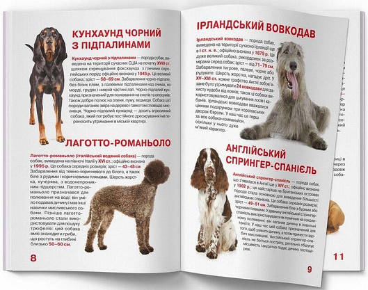 Енциклопедія для допитливих "Світ навколо нас. Велика книжка. Мисливські собаки" | Кристал Бук, фото 6