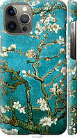 Чехол 3d пластиковый матовый Endorphone iPhone 12 Pro Max Винсент Ван Гог Сакура (841m-2054-2 EV, код: 7943110