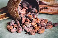 Какао бобы элитные тринитарио CacaoGold, 100г