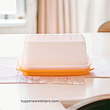 Маслянка, фото 2