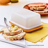 Маслянка, фото 4