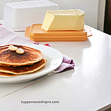 Маслянка, фото 5