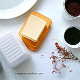 Маслянка, фото 6