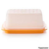 Маслянка, фото 3