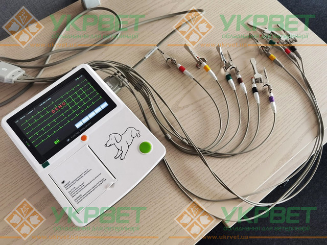Электрокардиограф ветеринарный Vet-500 Электрокардиограф Machine A3