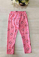 Лосини для дівчат оптом, S&D, 98-128 см, № CH-6565, фото 3