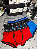 Набор мужских трусов Calvin Klein 365 Чёрный, Серый, Белый, Голубой, Красный mu003