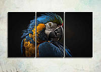 Модульная Картина с Ярким Попугаем Декор на Стену с 3 частей Попугай Ара на Черном Фоне Желто-синяя Птица
