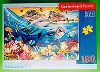 Пазли Castorland 180шт (018468) 32*23 см (Дельфины в тропиках)