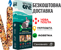 Палочки Special One «Ягодные» для декоративных грызунов, 90 г