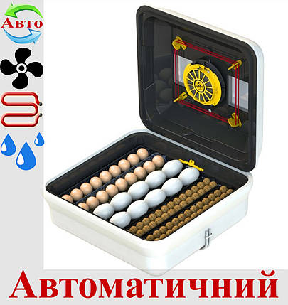Інкубатор для яєць автоматичний Теплуша EURO 88 ТА вологомір, фото 1