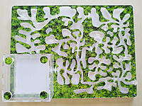 Мурашина ферма. Формікарій. Мурашина ферма Набір новачка "Mega-зелень" + Мурахи Messor structor