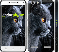 Пластиковый чехол Endorphone на Lenovo K5 Plus Красивый кот (3038m-278-26985) EV, код: 1390917