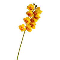 Орхидея ванда, желтая