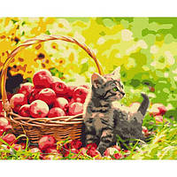 Картина по номерам Яблочный котик BS52657 Techo