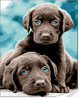 Алмазна мозаїка собака Маленькі лабрадори 30*40см Вишивка квадратними стразами картини набір повна викладка Strateg HEG86915