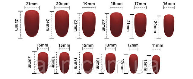 Накладные ногти - Интернет-магазин A4N Размеры накладных ногтей