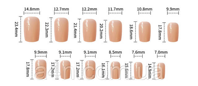 Размеры накладных ногтей