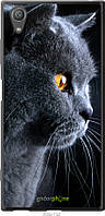 Силиконовый чехол Endorphone Sony Xperia XA1 Plus G3412 Красивый кот (3038u-1129-26985) GL, код: 7501004