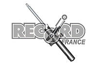 Амортизатор подвески RECORDFRANCE 334588