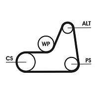 6PK1042 ELAST Ремінь (поліклиновий) CONTI-V MULTIRIB