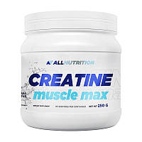 Creatine Muscle Max (250 g, unflavored)