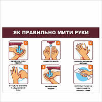 Плакат Vivay Як правильно мити руки А3 (7658) DI, код: 6863249