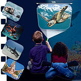 Ліхтарик-проектор Жителі морів (3 диски 24 зображення), фото 5