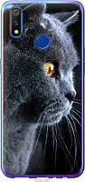 Чехол силиконовый Endorphone Realme X Lite Красивый кот (3038u-2030-26985) BF, код: 7975922